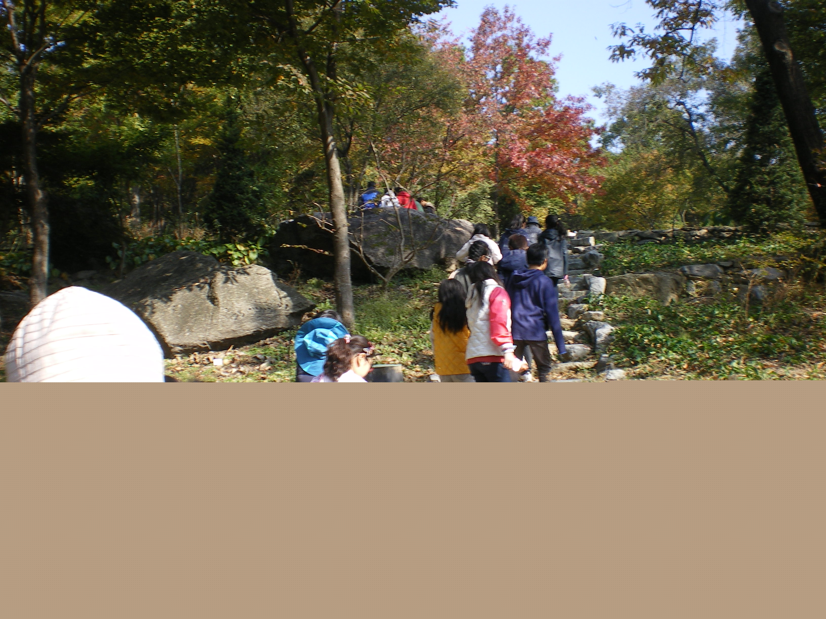 IMGP2292.JPG